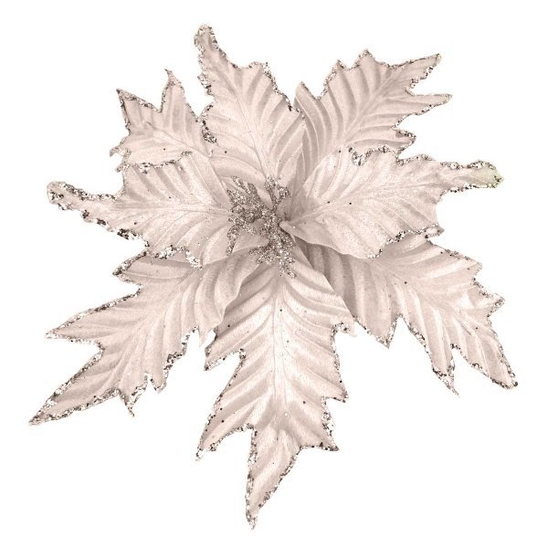 Χριστουγεννιάτικο Λουλούδι Αλεξανδρινό, Ιβουάρ (25cm)
